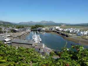 une vue d'une marina avec des bateaux dans l'eau dans l'établissement Wenallt, à Porthmadog