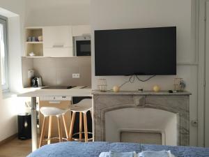 uma sala de estar com lareira e televisão de ecrã plano em STUDIO CANNES A 5 MN A PIED DE LA GARE TOUT CONFORT AVEC BALCON em Cannes