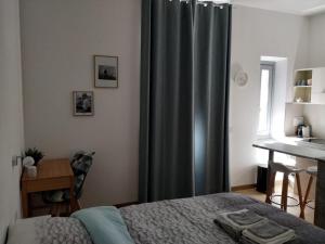 1 dormitorio con cama y cortina de ducha en STUDIO CANNES A 5 MN A PIED DE LA GARE TOUT CONFORT AVEC BALCON, en Cannes