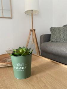 una maceta verde sobre una mesa en la sala de estar en Verde Salvia Home - Free park, en Tavernerio