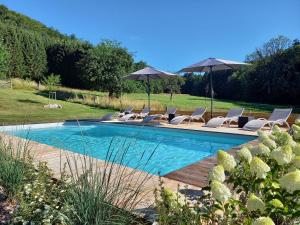 una piscina con tumbonas y sombrillas en Le Clos du Cerf - La Renardière en Stoumont