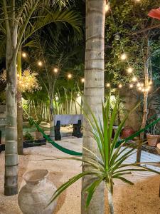 einen Garten mit Lichtern und einer Palme in der Unterkunft Ariché Valladolid Hotel & Hostal in Valladolid