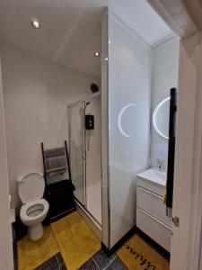 a bathroom with a toilet and a shower and a sink at Balco Vista Studio in Nottingham