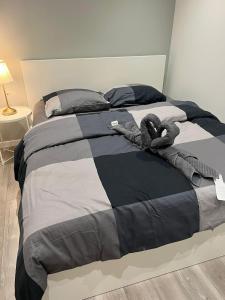 Cama o camas de una habitación en App 1 Mulhouse centre , 6 personnes