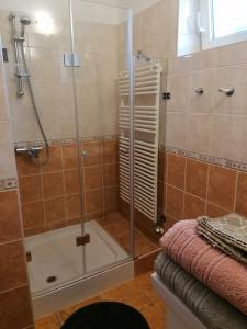 La salle de bains est pourvue d'une douche avec une porte en verre. dans l'établissement Teubel apartman 2, à Székesfehérvár