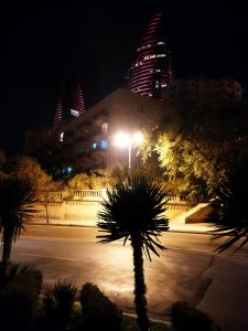 a night view of a building with a palm tree at Budget One Room Apartment in Baku