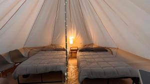 a room with two beds in a tent at Cabañas El Principio y Spa en Huasca de Ocampo in Huasca de Ocampo