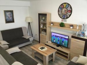 sala de estar con sofá y TV en Apartman * VICTORY *, en Banja Luka