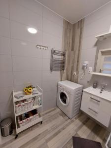 y baño con lavadora y lavamanos. en Apartament Kopernika-centrum Słupska en Słupsk