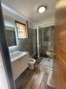 łazienka z toaletą, umywalką i prysznicem w obiekcie Appartement T1 w mieście LʼÎle-Rousse