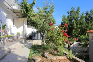 Fotografia z galérie ubytovania Holiday house with a swimming pool Omis - 19020 v Omise