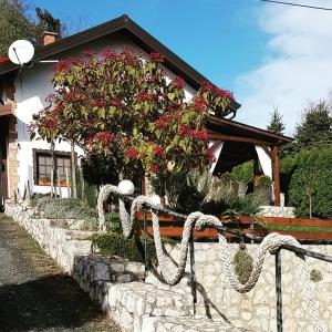 ein Haus mit einem Blumenstrauch darauf in der Unterkunft Family friendly house with a swimming pool Novi Marof, Medimurje - 19142 in Novi Marof