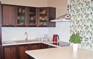 a kitchen with wooden cabinets and a sink and a counter at Awesome Home In Darlowo With Kitchen in Darłowo