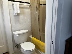 a bathroom with a toilet and a shower at Hollingsworth Guest House With Pool in Lakeland