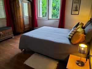 1 dormitorio con 1 cama grande y 2 ventanas en Tours - Rochebonne (chambre à louer), en Tours