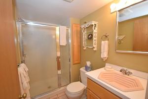 a bathroom with a shower and a toilet and a sink at Dancin' Bear in Glen Arbor +14 photos