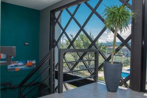 Billede fra billedgalleriet på The Stay Inn i San José