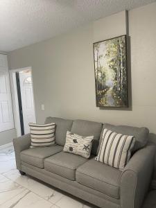 un sofá en una sala de estar con una pintura en la pared en Adorable Suite in Tampa., en Tampa