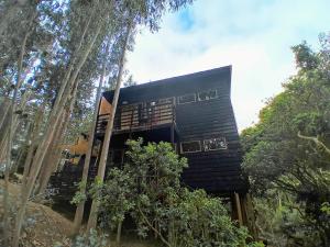 a black house in the middle of some trees at Lodge Terra Mar in Pichilemu