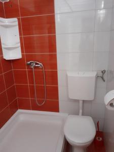 a bathroom with a toilet and a shower in it at Apartments by the sea Brist, Makarska - 19330 in Podaca