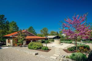 Κήπος έξω από το Holiday house with a parking space Vantacici, Krk - 19275