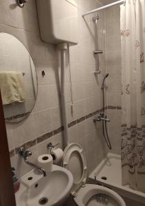 een badkamer met een toilet, een wastafel en een douche bij Rooms with WiFi Ston, Peljesac - 19339 in Ston