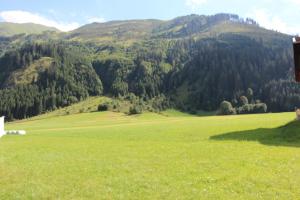 um campo de relva verde com montanhas ao fundo em Alpenhaus Bichlbach em Bichlbach