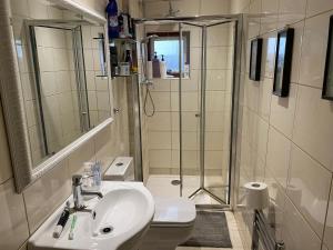 a bathroom with a shower and a sink and a toilet at Woodstock in London