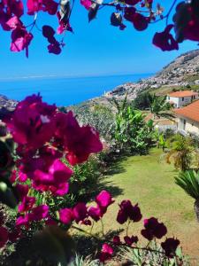a view of the ocean from a garden with pink flowers at Casa Gama in Ribeira Brava