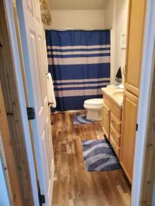 uma casa de banho com um WC e uma cortina de chuveiro azul em Harbour Village Retreat em Garden City