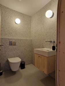 Chalet ski-in ski-out Nendaz في نينداز: حمام مع مرحاض ومغسلة
