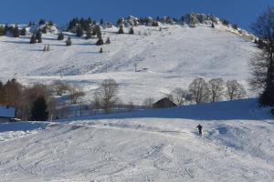 a person is skiing down a snow covered slope at Le Chalet de Poche - Gite 2 étoiles - 5 pers in Habère-Poche