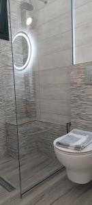 La salle de bains est pourvue d'une douche en verre et de toilettes. dans l'établissement A Vista, à Parga