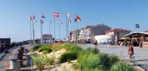 a group of flags on a beach with people and dogs at AU PETIT LOGIS - Apt T1 Bis avec terrasse à 500m de l'Océan in Mimizan