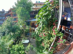 גינה חיצונית ב-HOTEL FORESTWAY Hostel & Backpackers