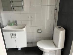 a bathroom with a white toilet and a sink at Nice apartment, rural idyll just outside Karlstad in Karlstad