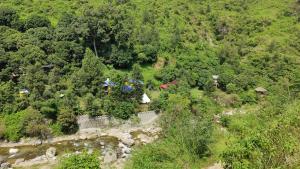 een luchtzicht op een bos met een rivier bij Hobo Huts in Panuānaula