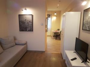 salon z kanapą i telewizorem w obiekcie Centrum Noclegowe Apartament 3 w Bydgoszczy