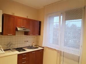 kuchnia ze zlewem i oknem w obiekcie Centrum Noclegowe Apartament 3 w Bydgoszczy