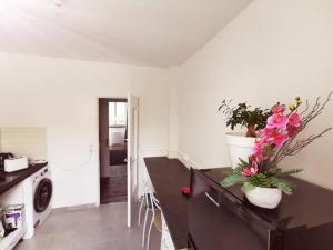 eine Küche mit einer Arbeitsplatte, die mit Blumen bedeckt ist in der Unterkunft Appartement Prés de la gare RER C-Spacieux 4 pièces in Étampes