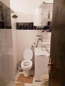 a white bathroom with a toilet and a shower at Apartments by the sea Necujam, Solta - 19697 in Grohote