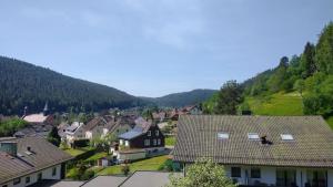 un pueblo con casas y montañas en el fondo en Ferienwohnung mit Aussicht, en Enzklösterle