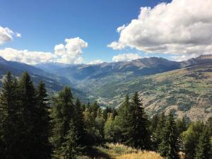 vistas a un valle con árboles y montañas en Appartement Les Arcs 1800, 2 pièces, 5 personnes - FR-1-346-523, en Arc 1800