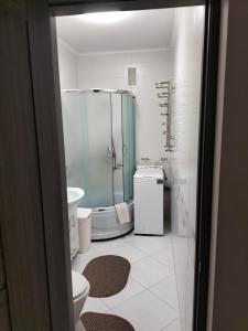 y baño con ducha, aseo y lavamanos. en ALIANCE апартамети в центрі міста., en Ivano-Frankivsk