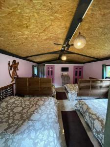 a bedroom with three beds and pink walls at Gite LA CASCADE BLANCHE in Salazie