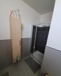 W łazience znajduje się prysznic ze szklanymi drzwiami. w obiekcie Casa Vacanze PRINCIPE LORIS w mieście Canale