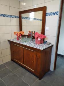 a bathroom counter with a sink and a mirror at A LA CLAIRE FONTAINE in Sainte-Suzanne