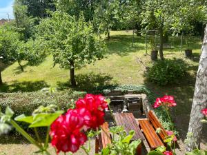 Fotografia z galérie ubytovania Silver Linden Cottage v destinácii Horní Police