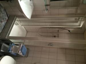 オーベルストドルフにあるLandhaus Alpenseeのバスルーム(シャワー、シンク、鏡付)