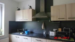 eine Küche mit einer Spüle und Holzschränken in der Unterkunft Ferienwohnung - am- Goethewanderweg in Stützerbach